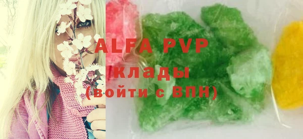 гидра Козловка