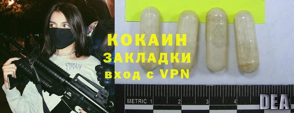 гидра Козловка