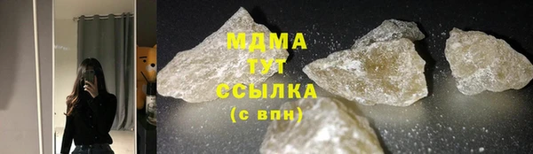 гидра Козловка