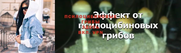 амф Кодинск