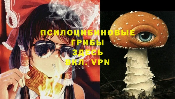 круглые Козельск